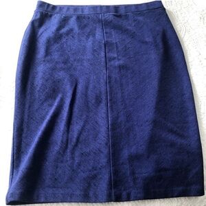 Elegant Blue Women's Skirt